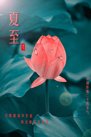 夏至荷花海报2