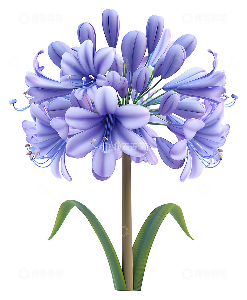 高清大图下载【趣麦麦图】美丽的紫色花朵3D插画免抠透明png素材