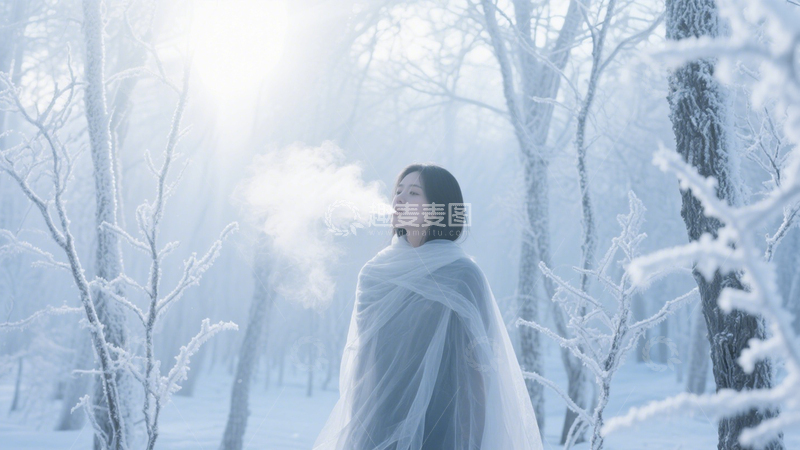 高清大图下载【趣麦麦图】雪林中的清冷仙子2