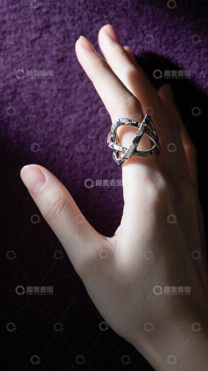 高清大图下载【趣麦麦图】花朵手链时尚闪耀3