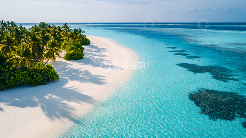 高清大图下载【趣麦麦图】夏天的湛蓝大海椰树
