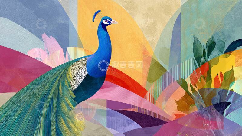 高清大图下载【趣麦麦图】孔雀  插画  优美3