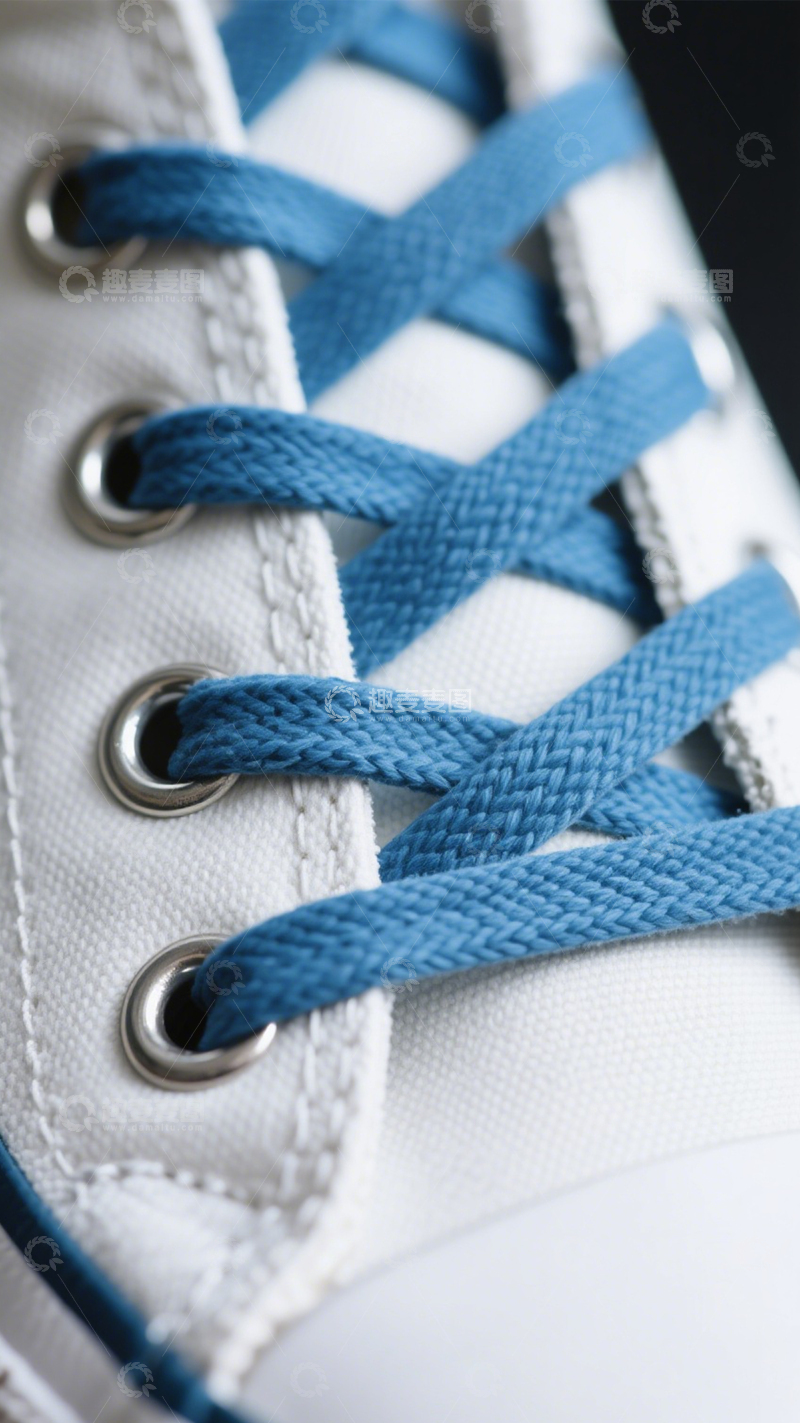 高清大图下载【趣麦麦图】鞋带细节色彩交叉2