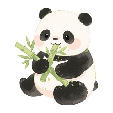 熊猫吃竹子卡通手绘插画
