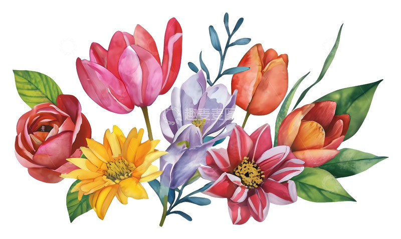 高清大图下载【趣麦麦图】盛开的花朵插画高清免抠透明png图片素材