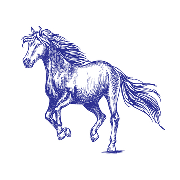 十二生肖奔跑马线稿版画插画免扣素材