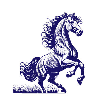 十二生肖马草地线稿插画版画免扣素材