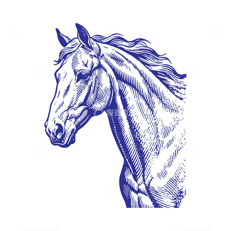 源文件下载【趣麦麦图】版画生肖马首线稿插画图免扣素材动物