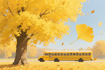 秋季银杏落叶景色123456