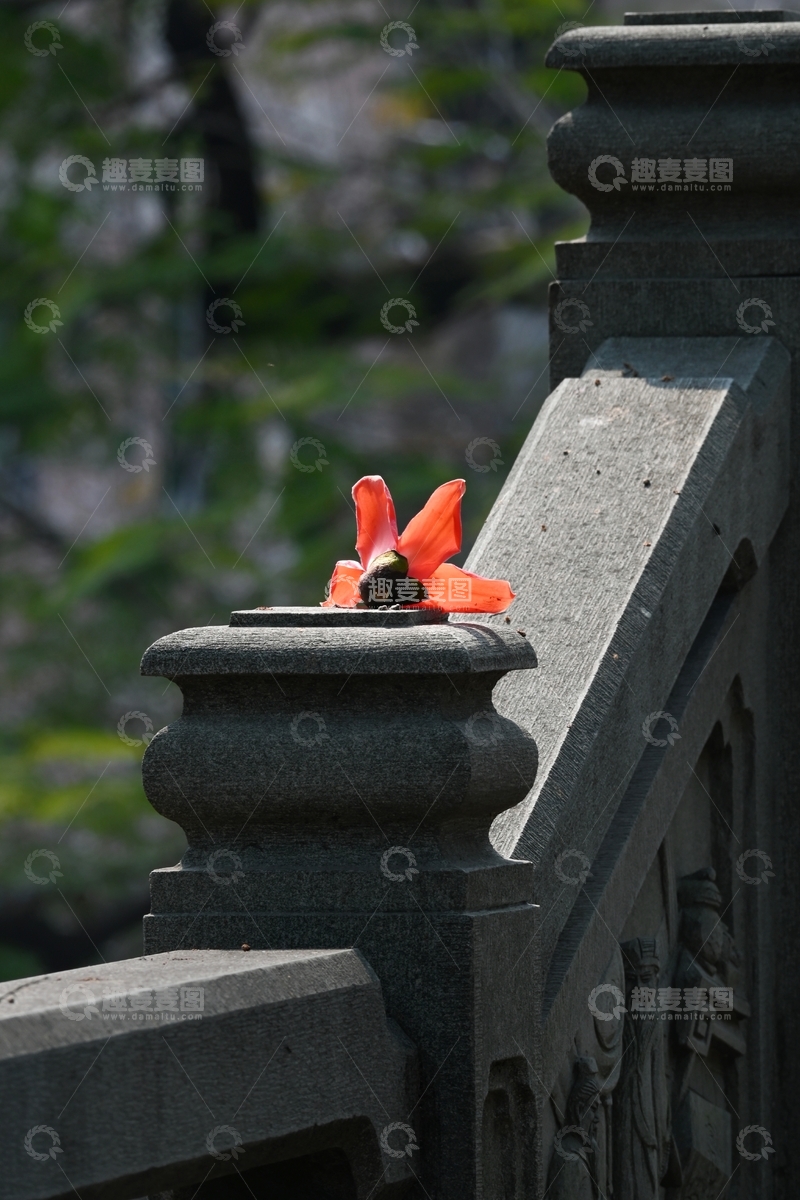 高清大图下载【趣麦麦图】红花朵落青石桥，静美如画