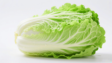 大白菜蔬菜素材