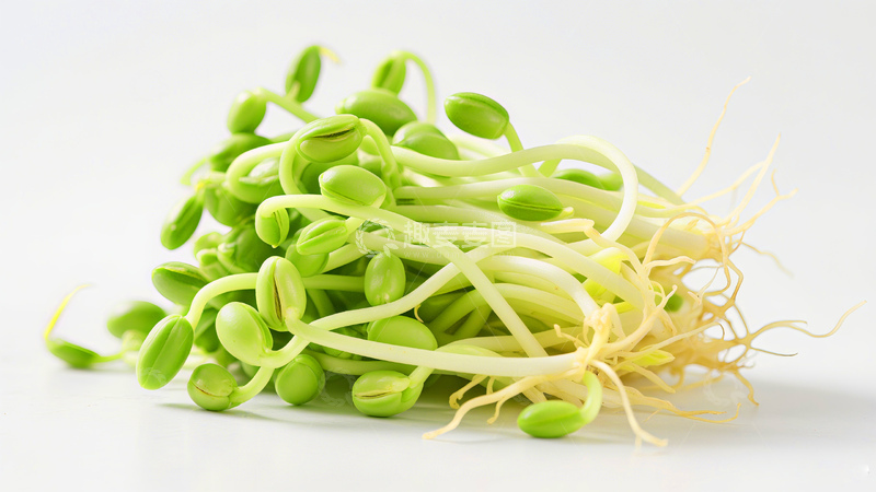 高清大图下载【趣麦麦图】长长的绿豆芽