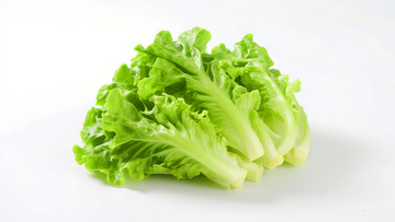 新鲜蔬菜·生菜