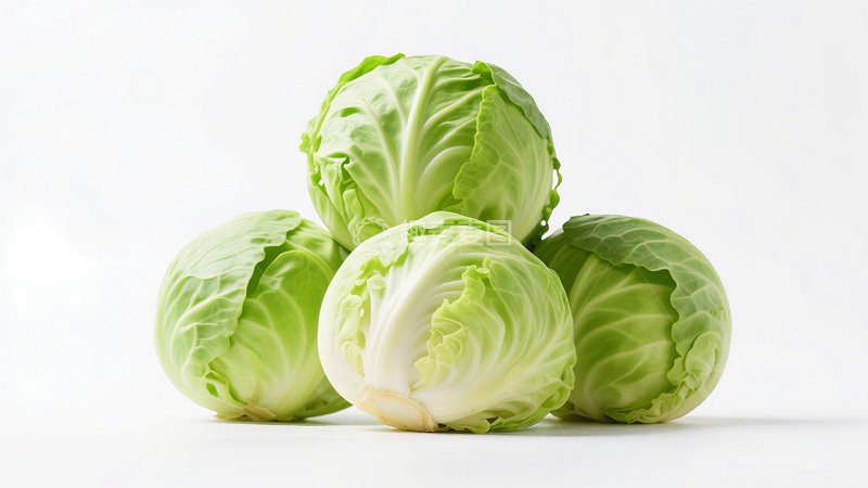 高清大图下载【趣麦麦图】包菜莲花菜莲花白