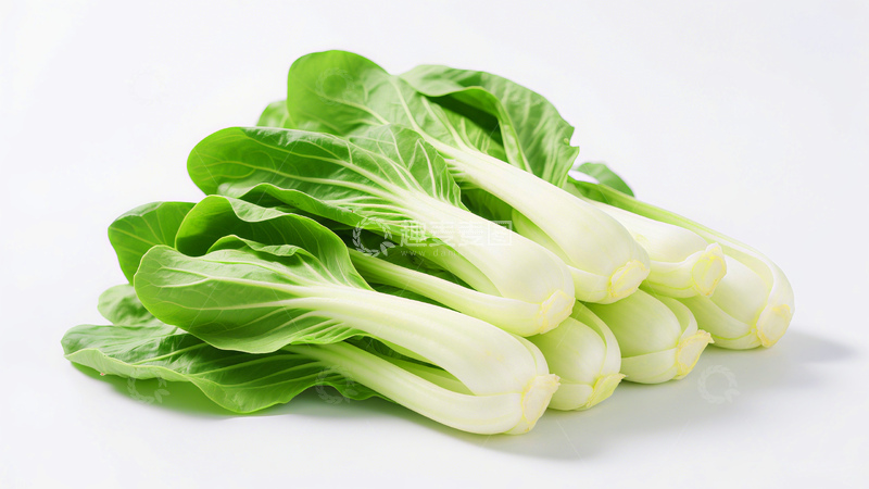 高清大图下载【趣麦麦图】新鲜蔬菜小白菜