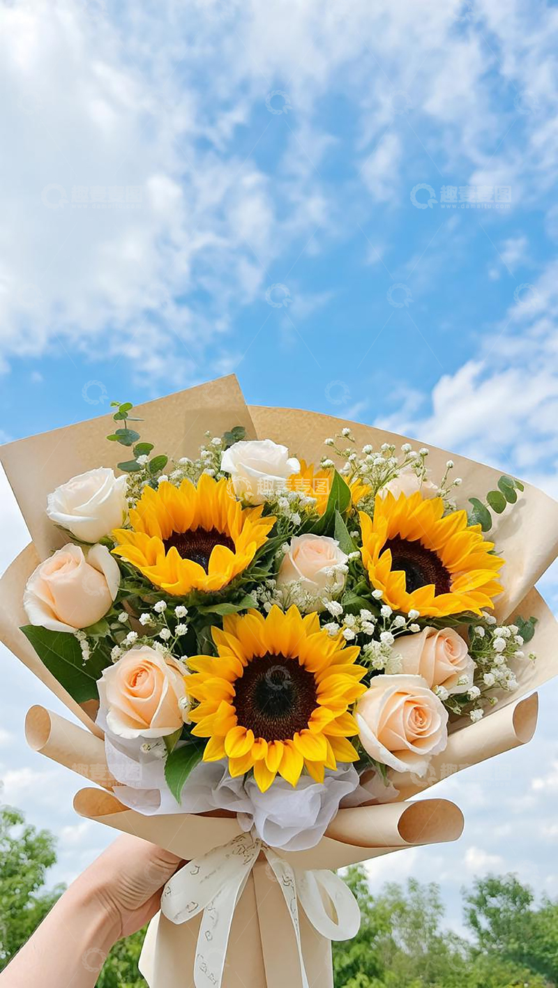 高清大图下载【趣麦麦图】向日葵和香槟玫瑰