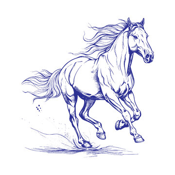 奔跑的马线稿插画图动物线描素描图木刻画