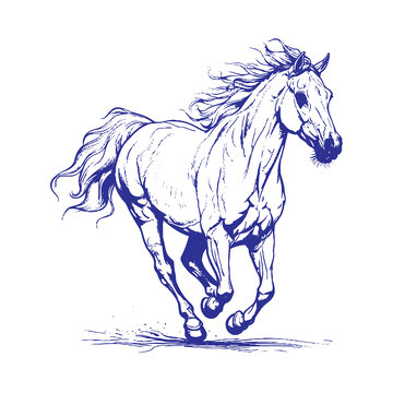 奔跑的马线稿插画动物线描钢笔画版画