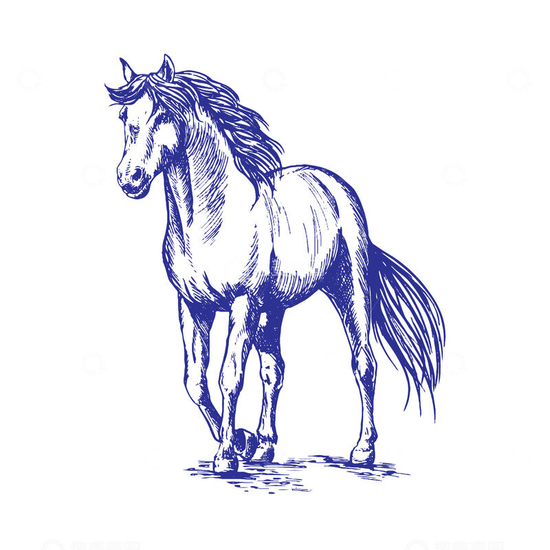 源文件下载【趣麦麦图】动物马线描钢笔画版画线稿插画图