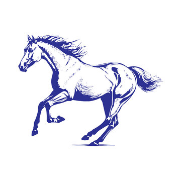 动物马线描钢笔画免扣素材插画版画