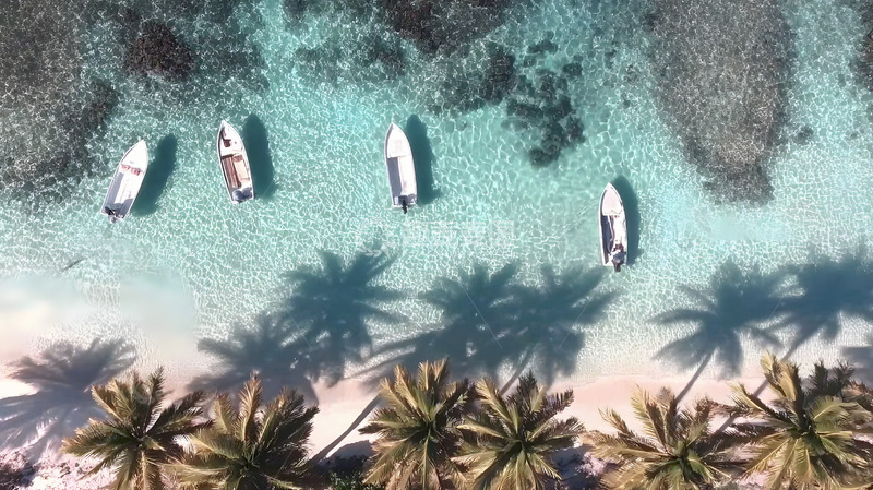 高清大图下载【趣麦麦图】海边的沙滩椰林飞艇