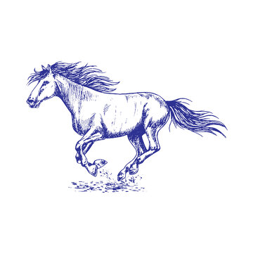 动物马线描版画生肖线稿钢笔画免扣素材