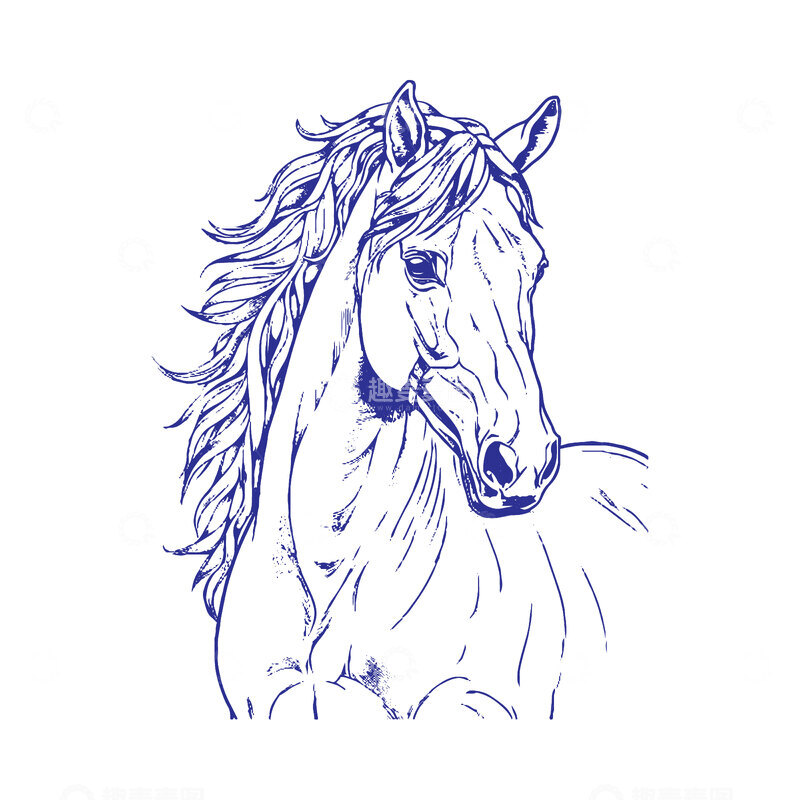 源文件下载【趣麦麦图】-动物马首线描钢笔画线稿插画版画素描