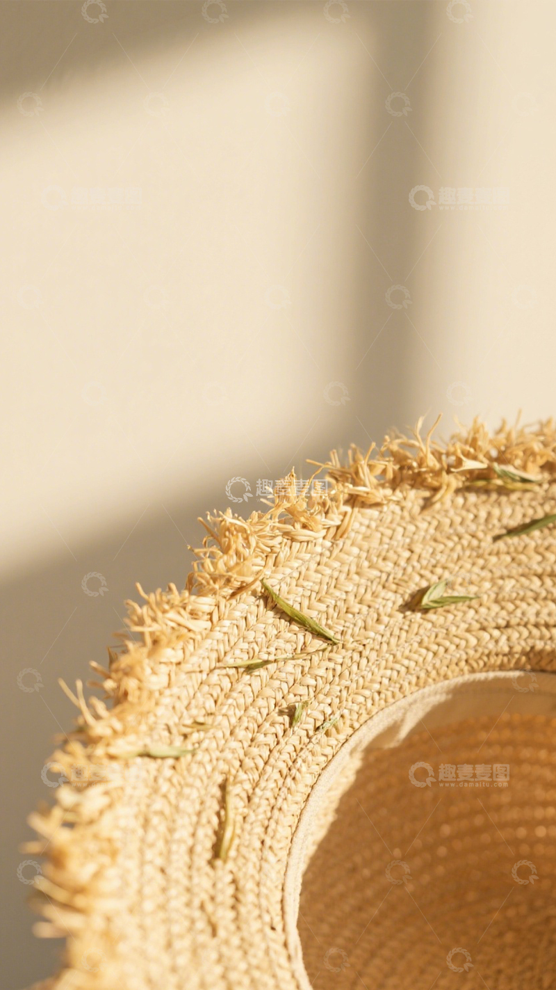 高清大图下载【趣麦麦图】度假防晒草编帽2