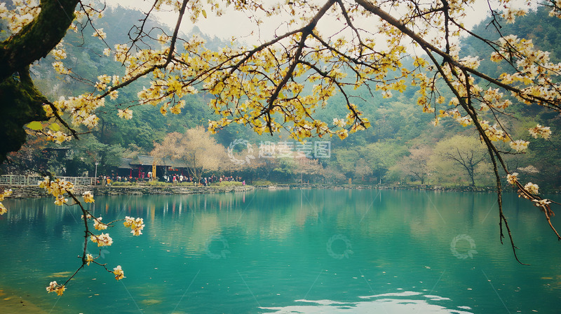 高清大图下载【趣麦麦图】秋日黄叶碧湖美景12