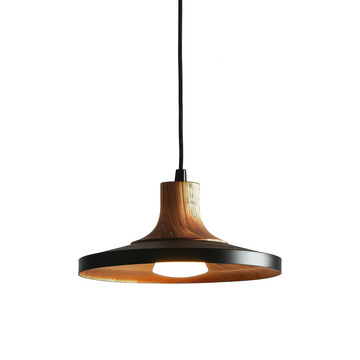 简约一个黑色的吊灯