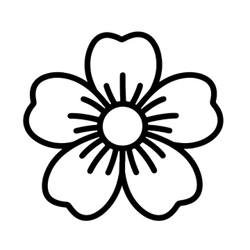 花朵线稿的简约轮廓