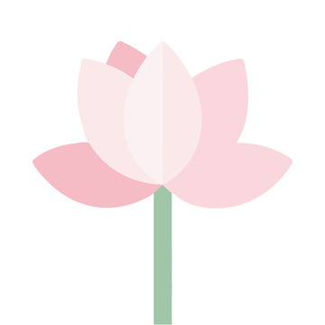 粉莲插画的清新淡雅