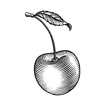 樱桃素描线稿插画水果木刻画版画钢笔画