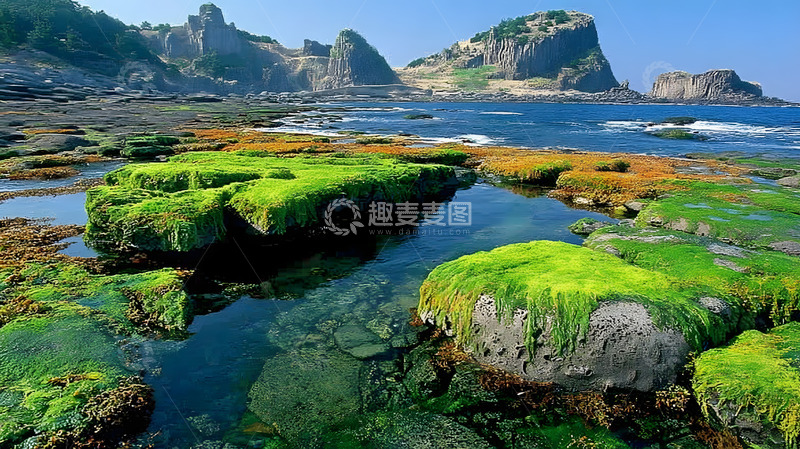 高清大图下载【趣麦麦图】夏天野外溪流石块1