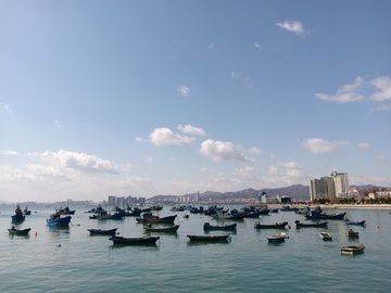 海面上停泊着众多渔船