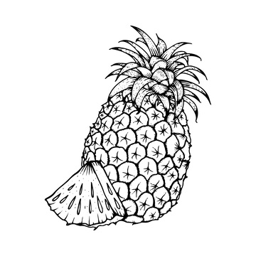 凤梨素描线稿插画水果菠萝版画木刻画