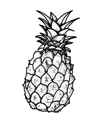 菠萝凤梨水果素描线稿插画版画木刻画