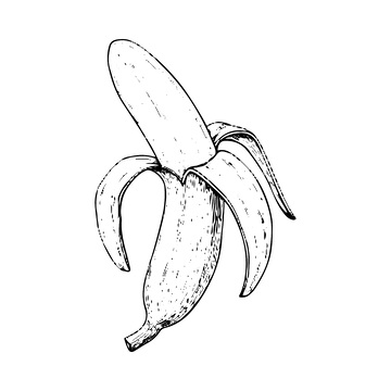 香蕉水果素描线稿插画版画木刻画钢笔画