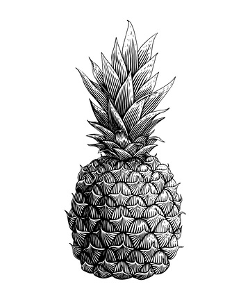 菠萝版画木刻画钢笔画凤梨水果线稿插画