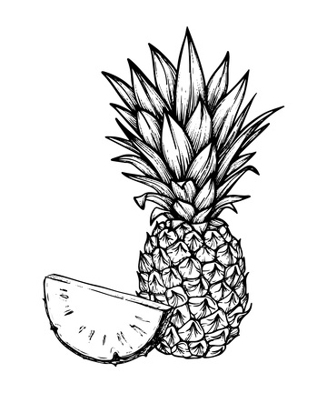 菠萝凤梨水果素描线稿插画版画木刻画钢笔画