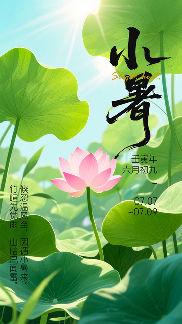 小暑节气荷花主题插画海报