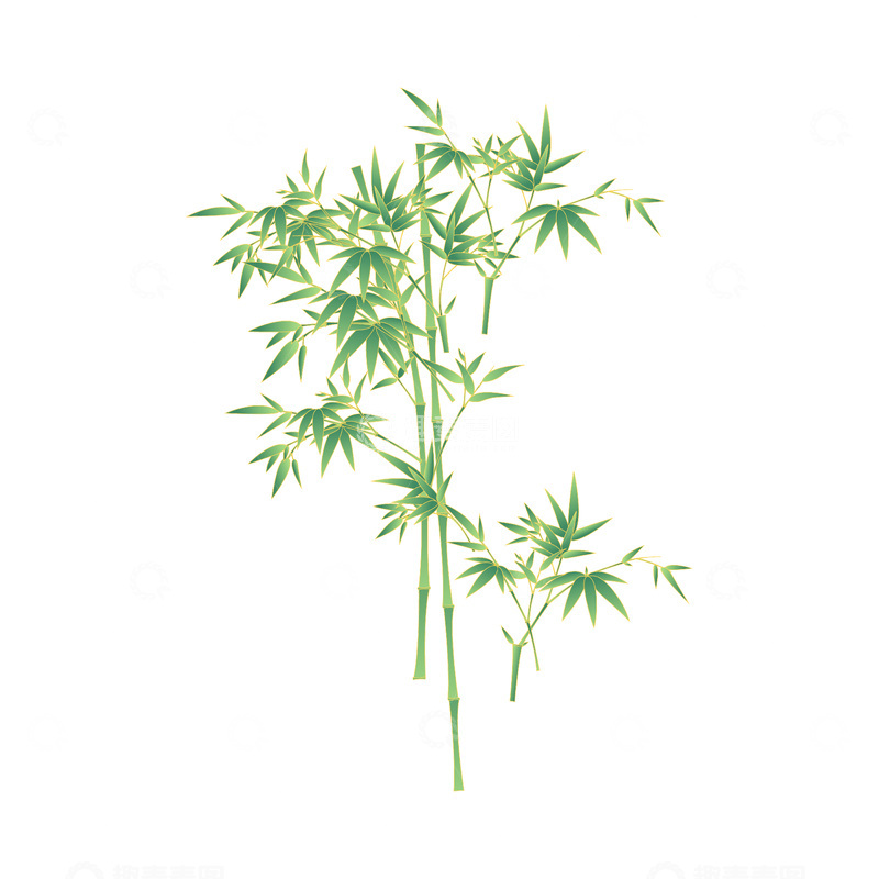源文件下载【趣麦麦图】彩绘竹子竹叶竹节植物