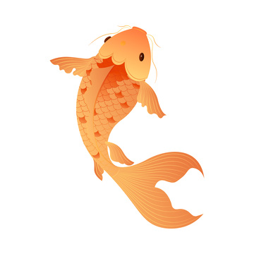 彩绘鲤鱼锦鲤金鱼鱼类