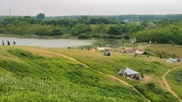 绿意盎然的郊外露营