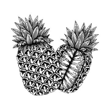 菠萝凤梨素描线稿插画水果版画木刻画