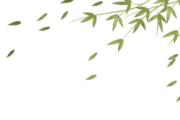 彩绘卡通柳叶柳枝树枝树叶叶子落叶