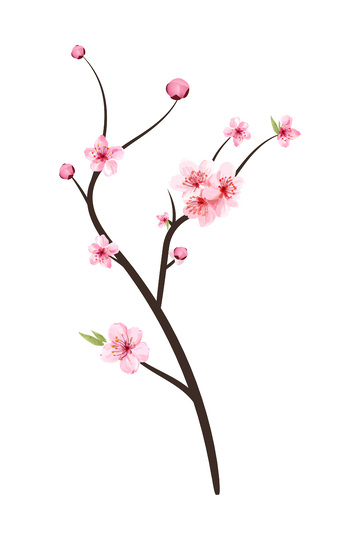 彩绘卡通桃花花朵花苞树枝桃枝