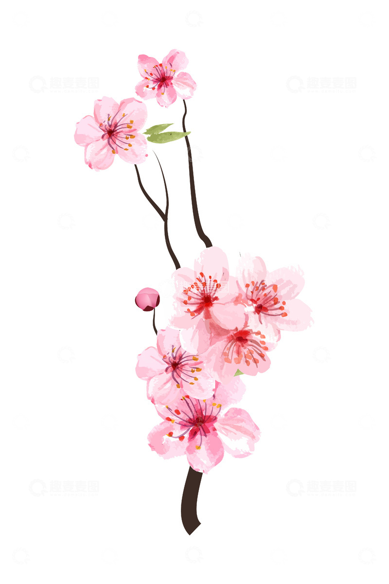 彩绘卡通桃花花朵花卉桃枝花枝树枝