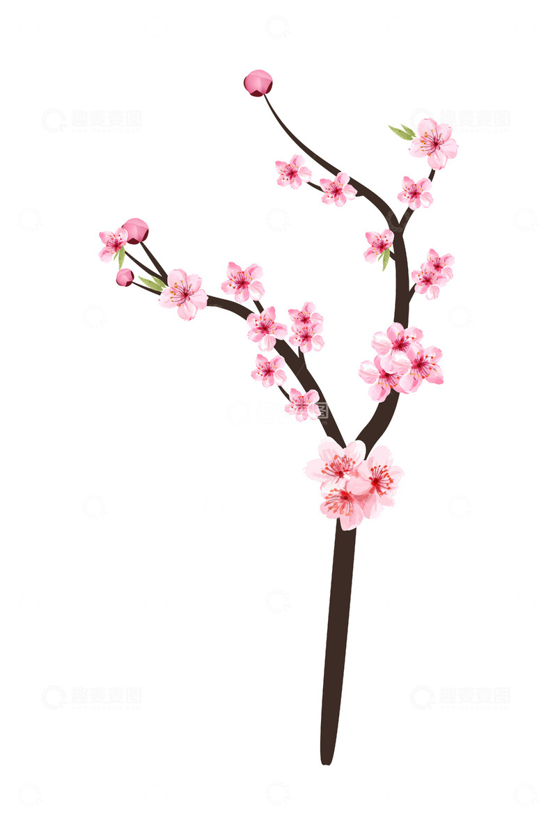 彩绘卡通桃花花朵花苞树枝树干桃树