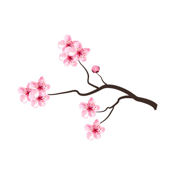 彩绘卡通桃花花朵花卉树枝花枝